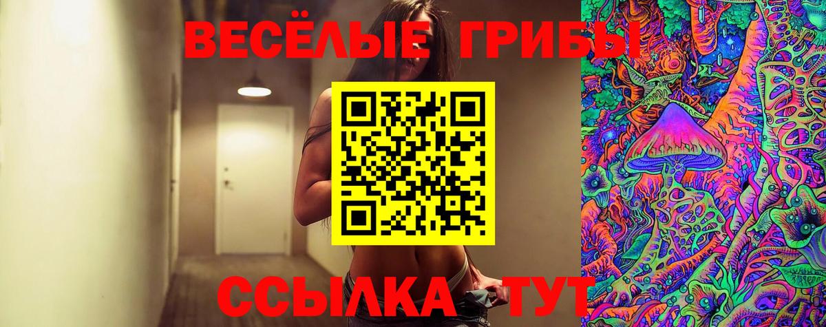Бор  Псилоцибиновые грибы прущие грибы  Вход с VPN  Псилоцибиновые грибы мухоморы 